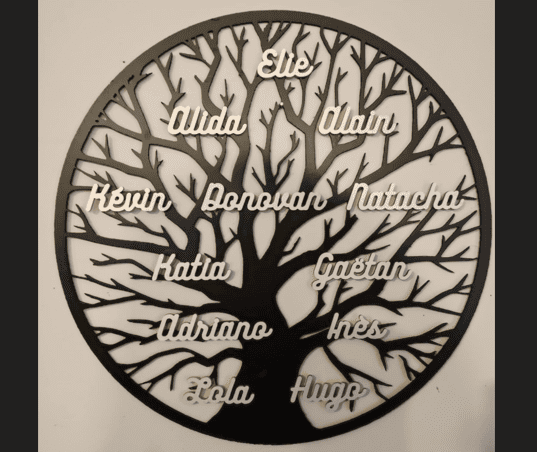 Lien vers Arbre de vie famille