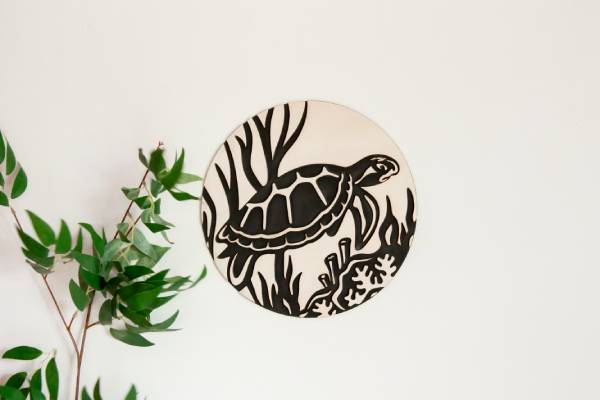 Image principale de Tortue